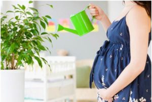 孕妇注意 4种家务活别再做！