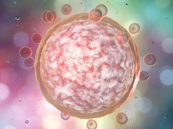 赴美冻卵必读:卵子冷冻中心EFC你值得了解-美国试管婴儿 赴美冻卵必读:卵子冷冻中心EFC你值得了解-美国试管婴儿